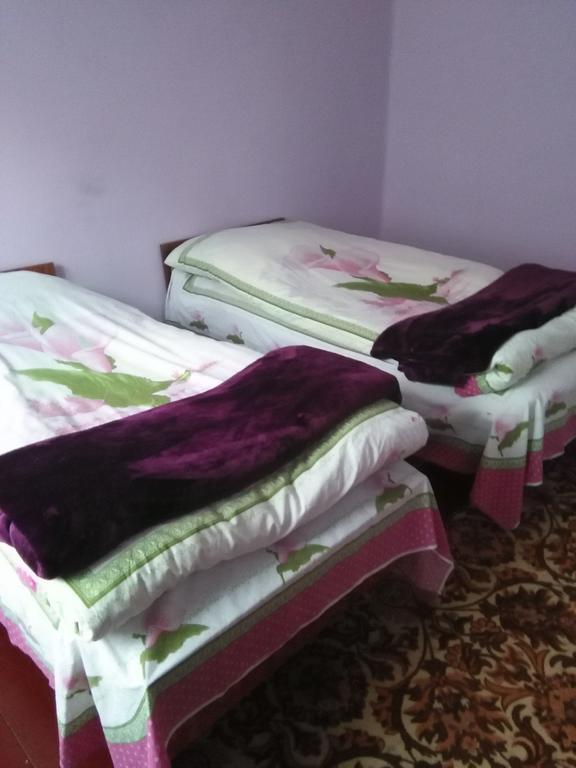 Maia's Guest House Gergeti Kazbegi Zimmer foto